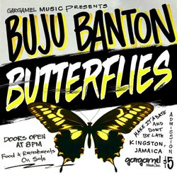 Butterflies